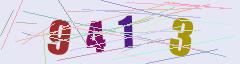 CAPTCHA validation image