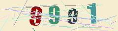 CAPTCHA validation image