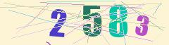 CAPTCHA validation image