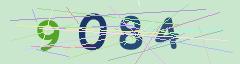 CAPTCHA validation image
