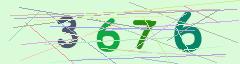 CAPTCHA validation image