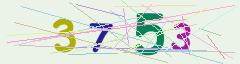 CAPTCHA validation image
