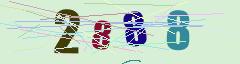 CAPTCHA validation image