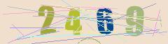 CAPTCHA validation image