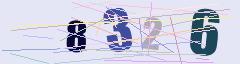 CAPTCHA validation image