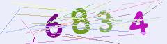 CAPTCHA validation image