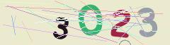 CAPTCHA validation image