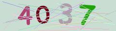 CAPTCHA validation image