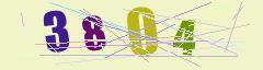 CAPTCHA validation image