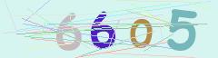 CAPTCHA validation image