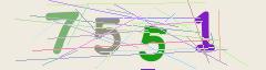 CAPTCHA validation image