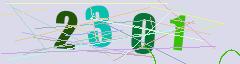 CAPTCHA validation image