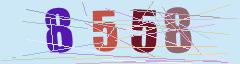 CAPTCHA validation image