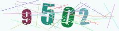 CAPTCHA validation image