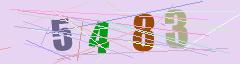 CAPTCHA validation image