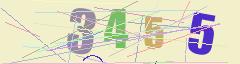 CAPTCHA validation image