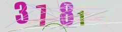 CAPTCHA validation image