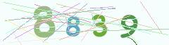 CAPTCHA validation image