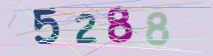 CAPTCHA validation image