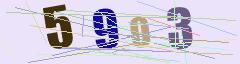 CAPTCHA validation image