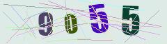CAPTCHA validation image