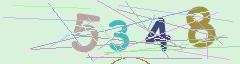 CAPTCHA validation image