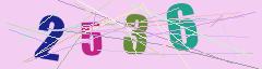 CAPTCHA validation image