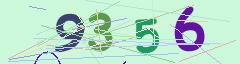 CAPTCHA validation image