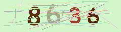 CAPTCHA validation image