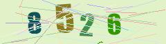 CAPTCHA validation image