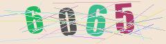 CAPTCHA validation image