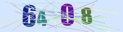 CAPTCHA validation image