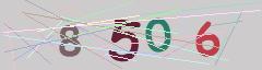 CAPTCHA validation image