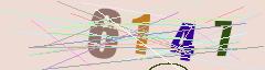 CAPTCHA validation image