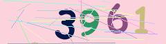 CAPTCHA validation image