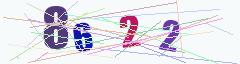 CAPTCHA validation image