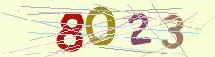 CAPTCHA validation image