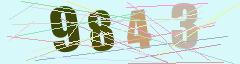 CAPTCHA validation image