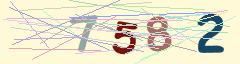 CAPTCHA validation image