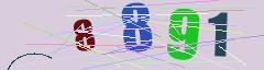 CAPTCHA validation image