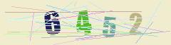 CAPTCHA validation image