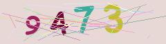 CAPTCHA validation image
