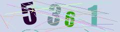 CAPTCHA validation image
