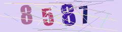 CAPTCHA validation image