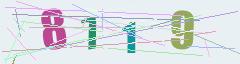CAPTCHA validation image