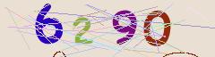 CAPTCHA validation image