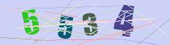CAPTCHA validation image