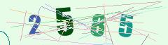 CAPTCHA validation image