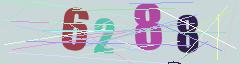 CAPTCHA validation image