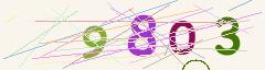 CAPTCHA validation image